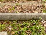 image of grave number 808511